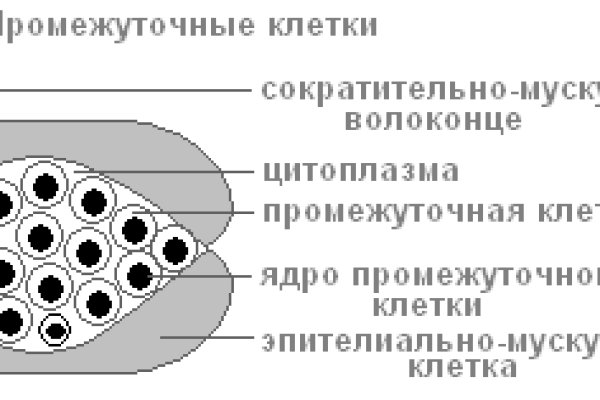 Кракен сайт сегодня