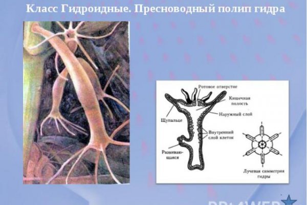 Как открыть ссылку с кракена